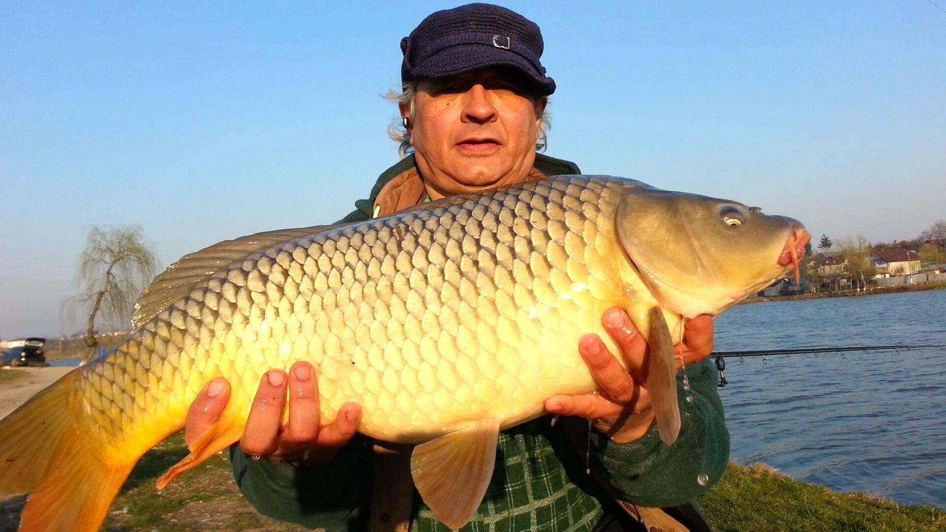 Diverse - 2014-03-14-192419.jpg